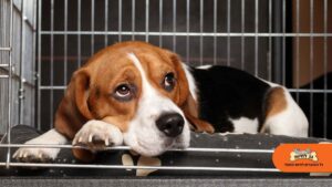 1759909982 0e5350bccd3aa24d15fc